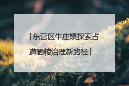 东营区牛庄镇探索占道晒粮治理新路径