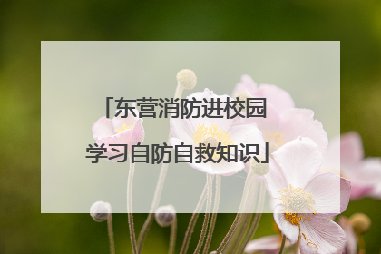 东营消防进校园 学习自防自救知识