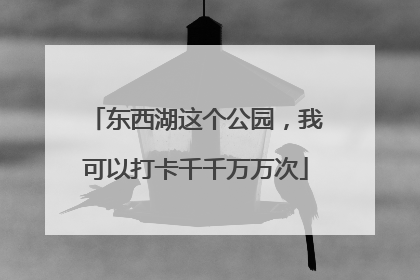 东西湖这个公园，我可以打卡千千万万次