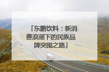 东鹏饮料：新消费浪潮下的民族品牌突围之路