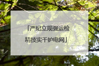 严纪立规强运检 精技实干护电网