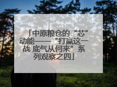 中原粮仓的“芯”动能——“打赢这一战 底气从何来”系列观察之四