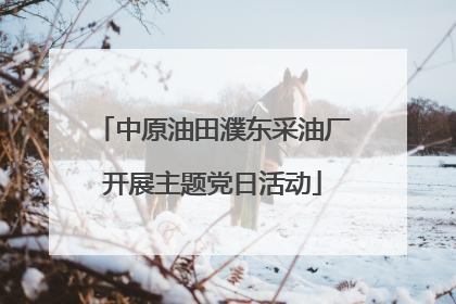 中原油田濮东采油厂开展主题党日活动