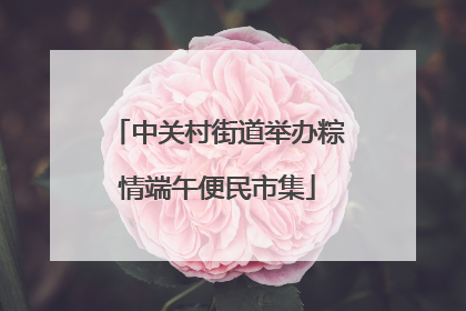 中关村街道举办粽情端午便民市集