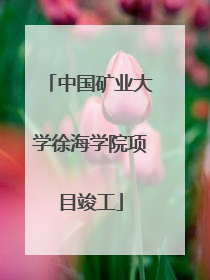 中国矿业大学徐海学院项目竣工