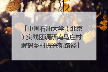 中国石油大学（北京）实践团调研南马庄村解码乡村振兴新路径