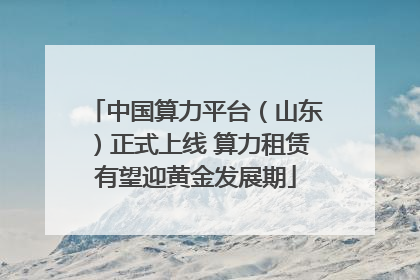 中国算力平台（山东）正式上线 算力租赁有望迎黄金发展期
