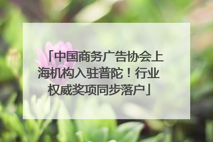 中国商务广告协会上海机构入驻普陀！行业权威奖项同步落户