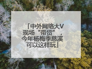 中外网络大V现场“带货”，今年杨梅季慈溪可以这样玩