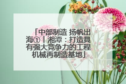 中部制造 扬帆出海①丨湘潭：打造具有强大竞争力的工程机械再制造基地