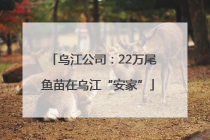 乌江公司：22万尾鱼苗在乌江“安家”