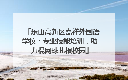 乐山高新区嘉祥外国语学校：专业技能培训，助力棍网球扎根校园