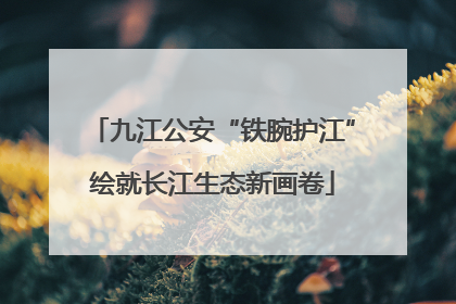 九江公安“铁腕护江”绘就长江生态新画卷