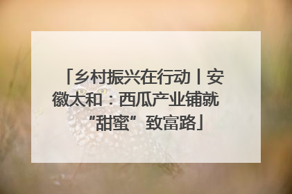 乡村振兴在行动丨安徽太和：西瓜产业铺就“甜蜜”致富路