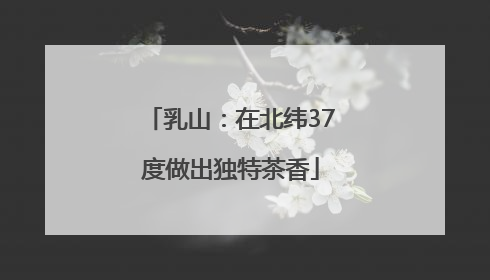 乳山：在北纬37度做出独特茶香