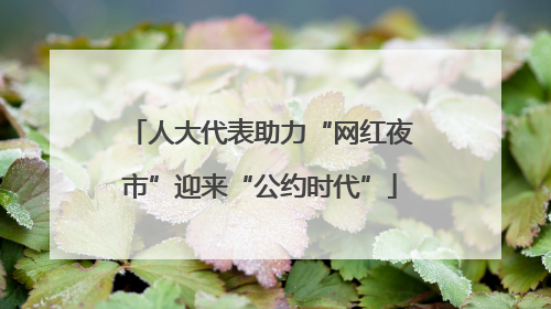 人大代表助力“网红夜市”迎来“公约时代”