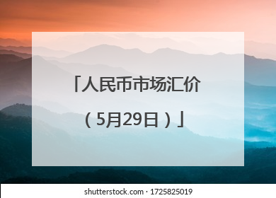 人民币市场汇价（5月29日）