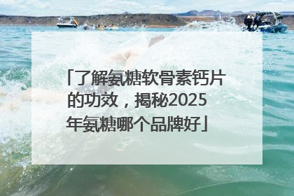 了解氨糖软骨素钙片的功效，揭秘2025年氨糖哪个品牌好