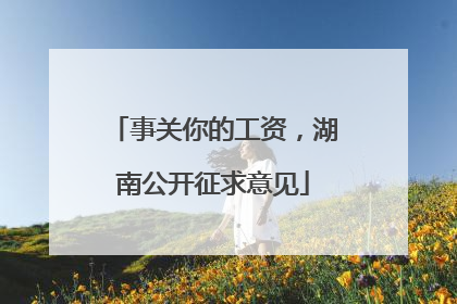 事关你的工资，湖南公开征求意见
