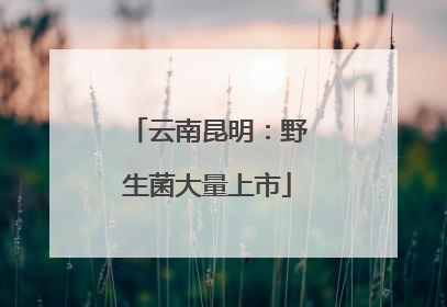 云南昆明：野生菌大量上市