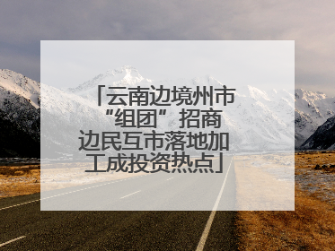 云南边境州市“组团”招商 边民互市落地加工成投资热点