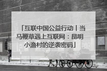 互联中国公益行动丨当马鞭草遇上互联网:昆明小渔村的逆袭密码