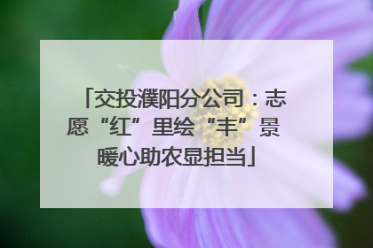 交投濮阳分公司：志愿“红”里绘“丰”景 暖心助农显担当