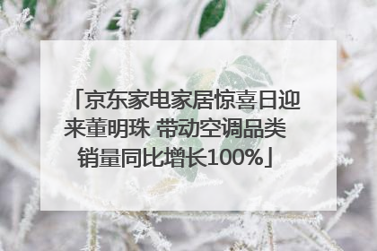 京东家电家居惊喜日迎来董明珠 带动空调品类销量同比增长100%