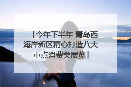 今年下半年 青岛西海岸新区精心打造八大重点消费类展览