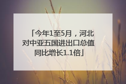 今年1至5月，河北对中亚五国进出口总值同比增长1.1倍