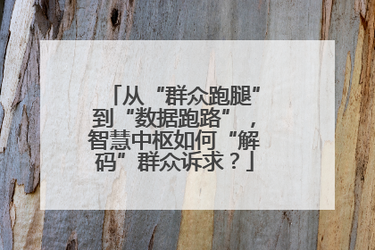 从“群众跑腿”到“数据跑路”，智慧中枢如何“解码”群众诉求？