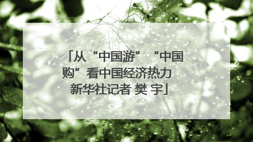 从“中国游”“中国购”看中国经济热力 新华社记者 樊 宇