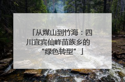 从煤山到竹海：四川宜宾仙峰苗族乡的“绿色转型”