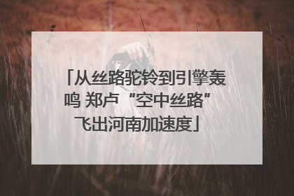 从丝路驼铃到引擎轰鸣 郑卢“空中丝路”飞出河南加速度