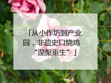 从小作坊到产业园，非遗史口烧鸡“涅槃重生”