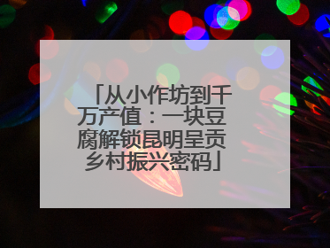 从小作坊到千万产值：一块豆腐解锁昆明呈贡乡村振兴密码