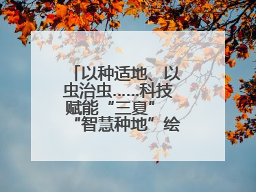 以种适地、以虫治虫……科技赋能“三夏” “智慧种地”绘就好“丰”景