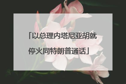 以总理内塔尼亚胡就停火同特朗普通话