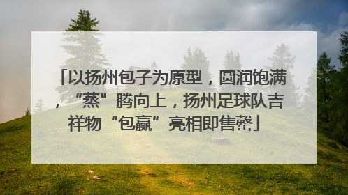 以扬州包子为原型，圆润饱满，“蒸”腾向上，扬州足球队吉祥物“包赢”亮相即售罄