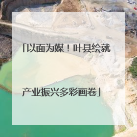 以面为媒！叶县绘就产业振兴多彩画卷