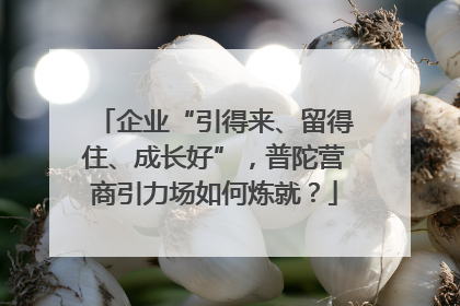企业“引得来、留得住、成长好”，普陀营商引力场如何炼就？