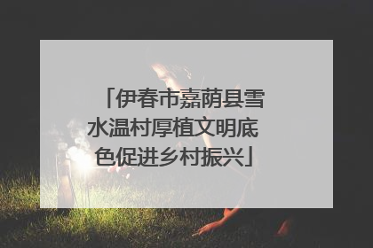 伊春市嘉荫县雪水温村厚植文明底色促进乡村振兴