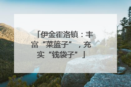 伊金霍洛镇：丰富“菜篮子”，充实“钱袋子”