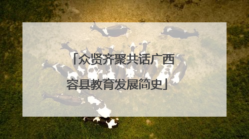 众贤齐聚共话广西容县教育发展简史