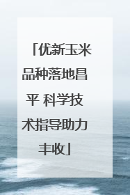 优新玉米品种落地昌平 科学技术指导助力丰收