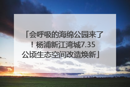 会呼吸的海绵公园来了！杨浦新江湾城7.35公顷生态空间改造焕新