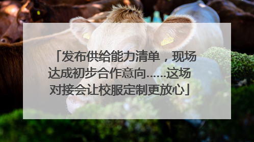 发布供给能力清单，现场达成初步合作意向……这场对接会让校服定制更放心