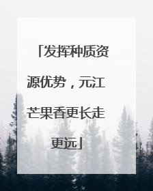 发挥种质资源优势，元江芒果香更长走更远