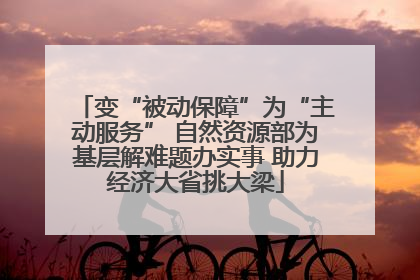 变“被动保障”为“主动服务” 自然资源部为基层解难题办实事 助力经济大省挑大梁