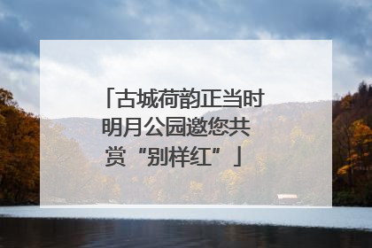 古城荷韵正当时 明月公园邀您共赏“别样红”